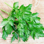 Parsley Dark Green Italian Untreated Herb Seeds