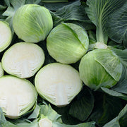 (Vegetable) Cabbage, Expectation 